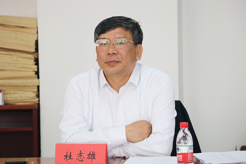 杜志雄发言.png